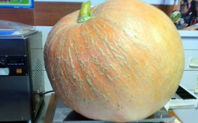 Η διατροφική αξία της κολοκύθας