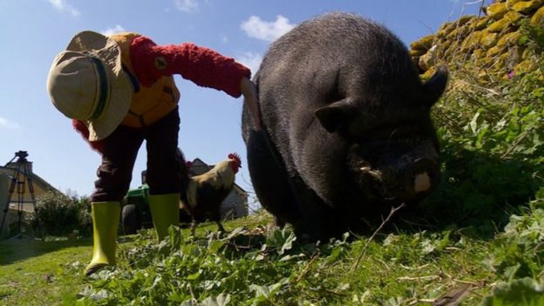 Ζητείται ζευγάρι για να μείνει σε έρημο γαλλικό νησί 4