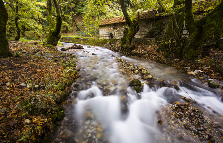 Το χωριό Πλανητέρο μέσα στο μαγευτικό πλατανόδασος