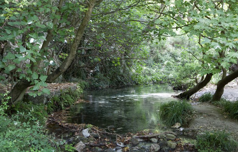 Ο παράδεισος του εναλλακτικού τουρισμού στις πηγές του Αχέροντα 2
