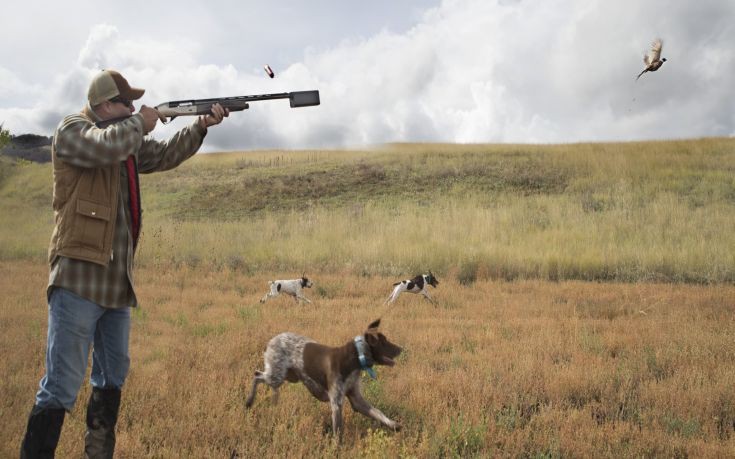 Ζωόφιλοι στο Συμβούλιο της Επικρατείας για την κυνηγετική περίοδο