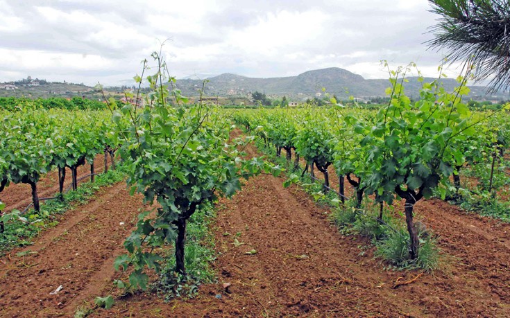 &Chi;&Omega;&Rho;&Alpha;&Phi;&Iota; &Kappa;&Alpha;&Lambda;&Lambda;&Iota;&Epsilon;&Rho;&Gamma;&Epsilon;&Iota;&Epsilon;&Sigma;