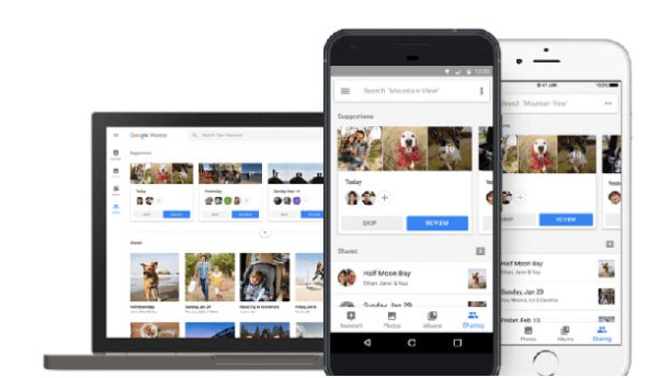 Google Photos: Αναγνωρίζει πλέον και τα κατοικίδια σας για αυτόματη δημιουργία album