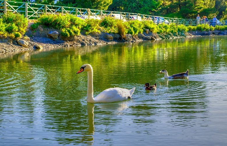 Μυστικά σημεία της Αττικής που (μάλλον) δεν έχετε ανακαλύψει