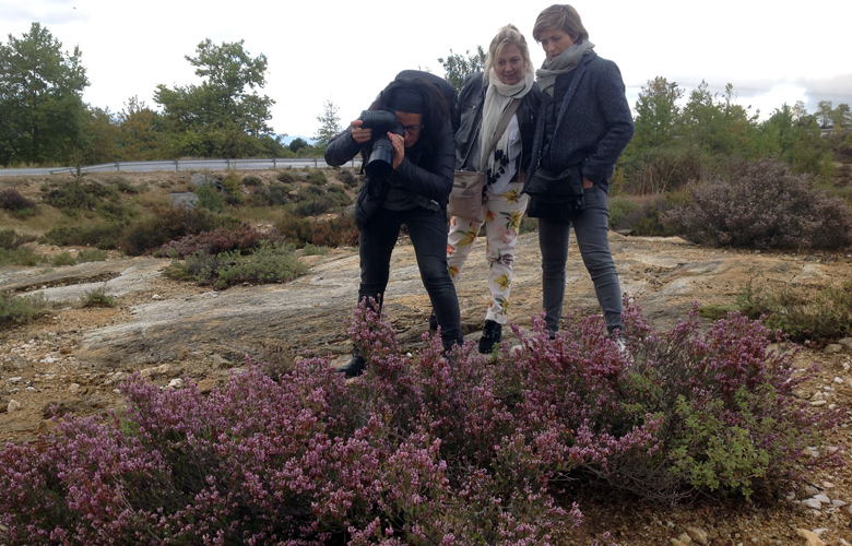 Τοπικά προϊόντα προσελκύουν τη γαλλική… «γλώσσα»! 3