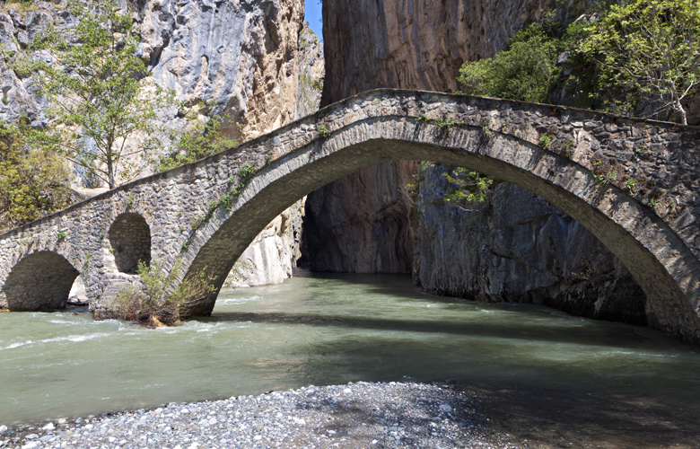 Ταξίδι στην «πρωτεύουσα των μανιταριών»