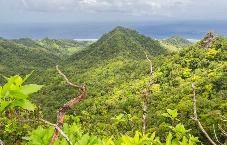Ο παράδεισος θα μπορούσε να ονομαζόταν και Νησιά Κουκ 4