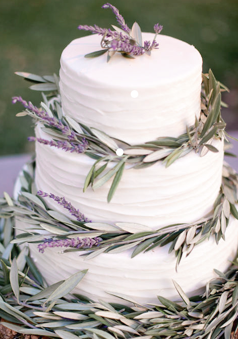 amy20and20stuart20photography20Susie20cakes