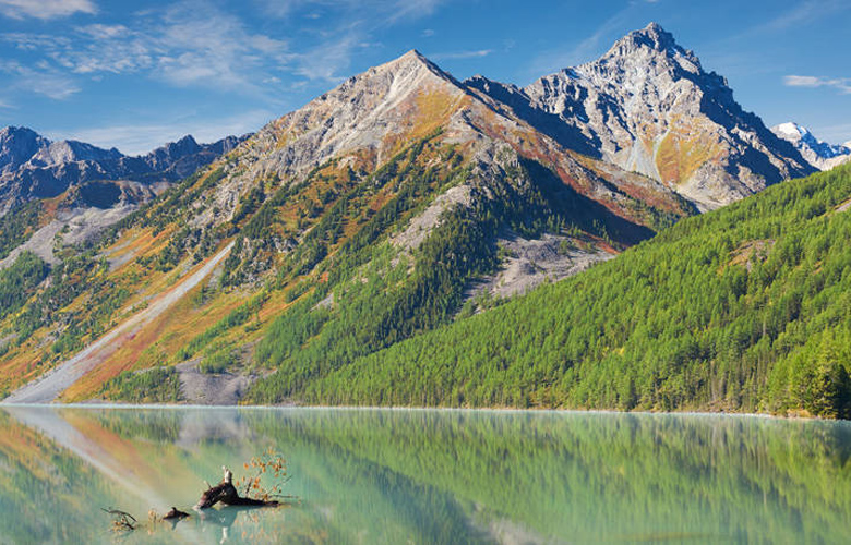 Οι «πνεύμονες» της γης βρίσκονται στα όρη Αλτάι της Ρωσίας