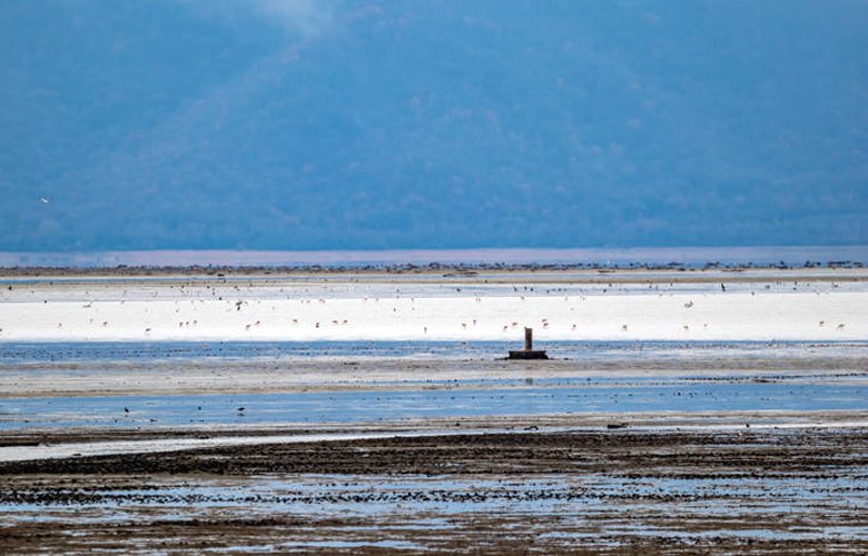 Λίμνη Κερκίνης, ένας από τους σημαντικότερους τουριστικούς προορισμούς στις Σέρρες 3