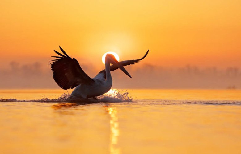 Λίμνη Κερκίνης, ένας από τους σημαντικότερους τουριστικούς προορισμούς στις Σέρρες