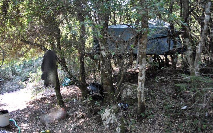 Αστυνομικοί εντόπισαν φυτεία κάνναβης στον Παρνασσό, αλλά δεν βρήκαν τους χασισοκαλλιεργητές 3