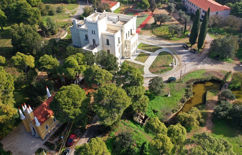 Εξερεύνησε το εντυπωσιακό Άλσος Συγγρού με την μοναδική χλωρίδα και πανίδα του