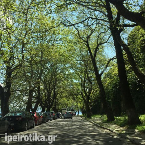 Το μαγικό τούνελ της Ηπείρου που είναι φτιαγμένο από… πλατάνια – News.gr 7