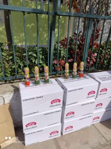 12ο Δημοτικό Σχολείο Λάρισας