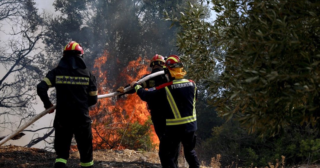 Σε εξέλιξη φωτιά στην περιοχή Δρυάλια