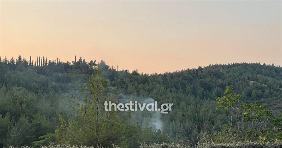 Οριοθετήθηκε η πυρκαγιά στο Σέιχ Σου
