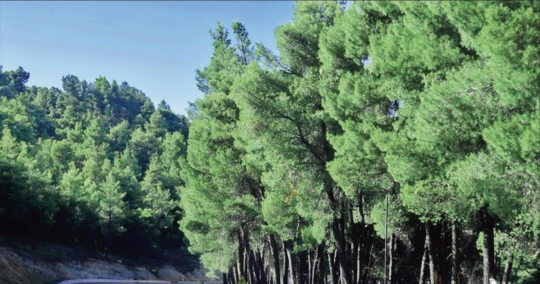 Νέος οδικός άξονας απειλεί το τοπίο της Βόρειας Εύβοιας, αγνοώντας τα υπάρχοντα προβλήματα