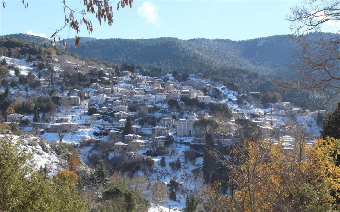 Η Βαμβακού Λακωνίας ξεκινά τη χρονιά με εκπλήξεις