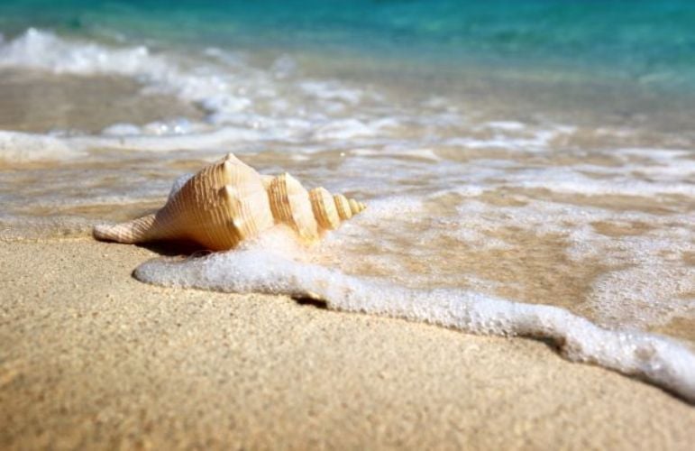 Αντίστροφη μέτρηση για το άνοιγμα της πλατφόρμας – News.gr
