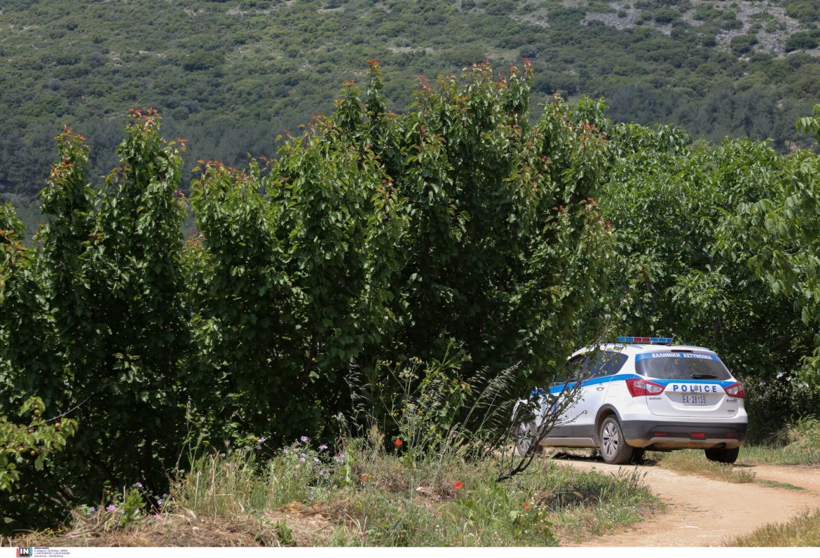 Στο φως κύκλωμα που διευκόλυνε παράτυπους μετανάστες