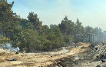 Αναστέλλονται οι οικονομικές δραστηριότητες στην πληγείσα από την πυρκαγιά δασική περιοχή του Έβρου 1