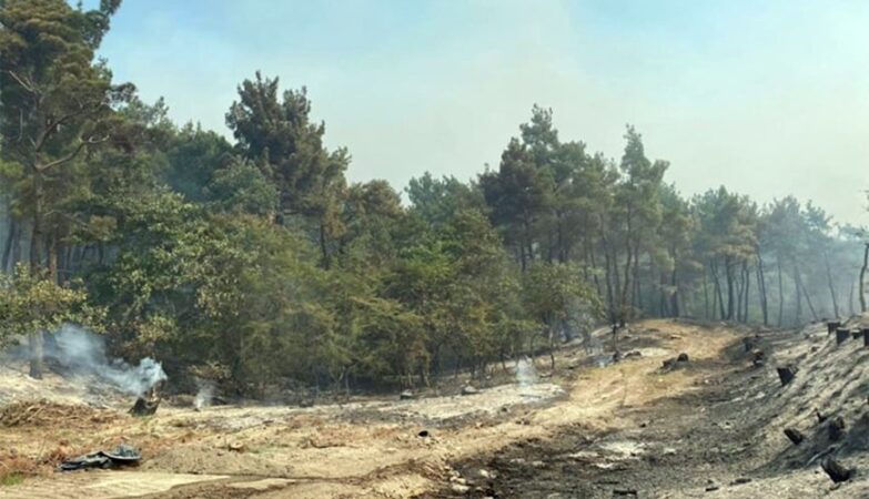Αναστέλλονται οι οικονομικές δραστηριότητες στην πληγείσα από την πυρκαγιά δασική περιοχή του Έβρου 23