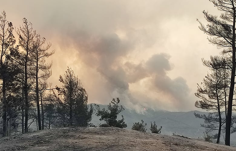 Τι ισχύει για την αναστολή συμβάσεων εργαζομένων σε πυρόπληκτες επιχειρήσεις της γουνοποιίας – News.gr
