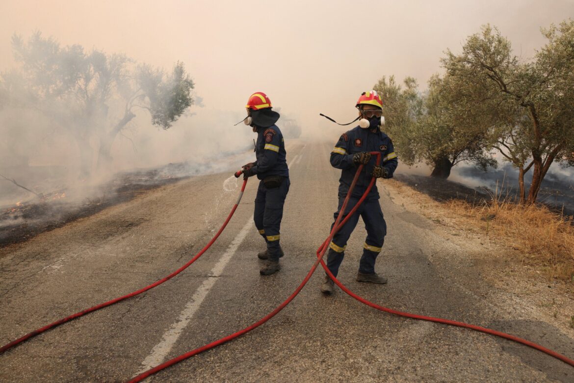 Ωρωπός: Πυρκαγιά στο όρος Λάκκα Λιοντάρι
