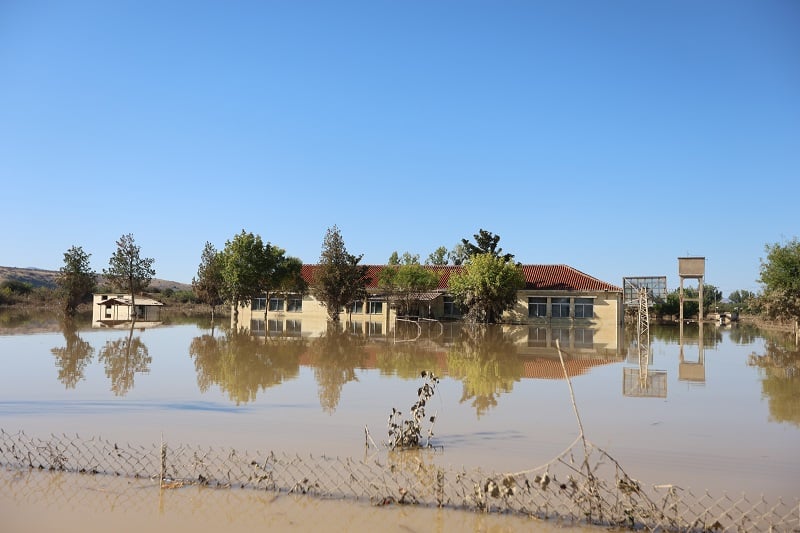 Ενεργοποίηση της κρατικής αρωγής για τις απώλειες σε φυτικό κεφάλαιο σε περιοχές που επλήγησαν από φυσικές καταστροφές το 2023