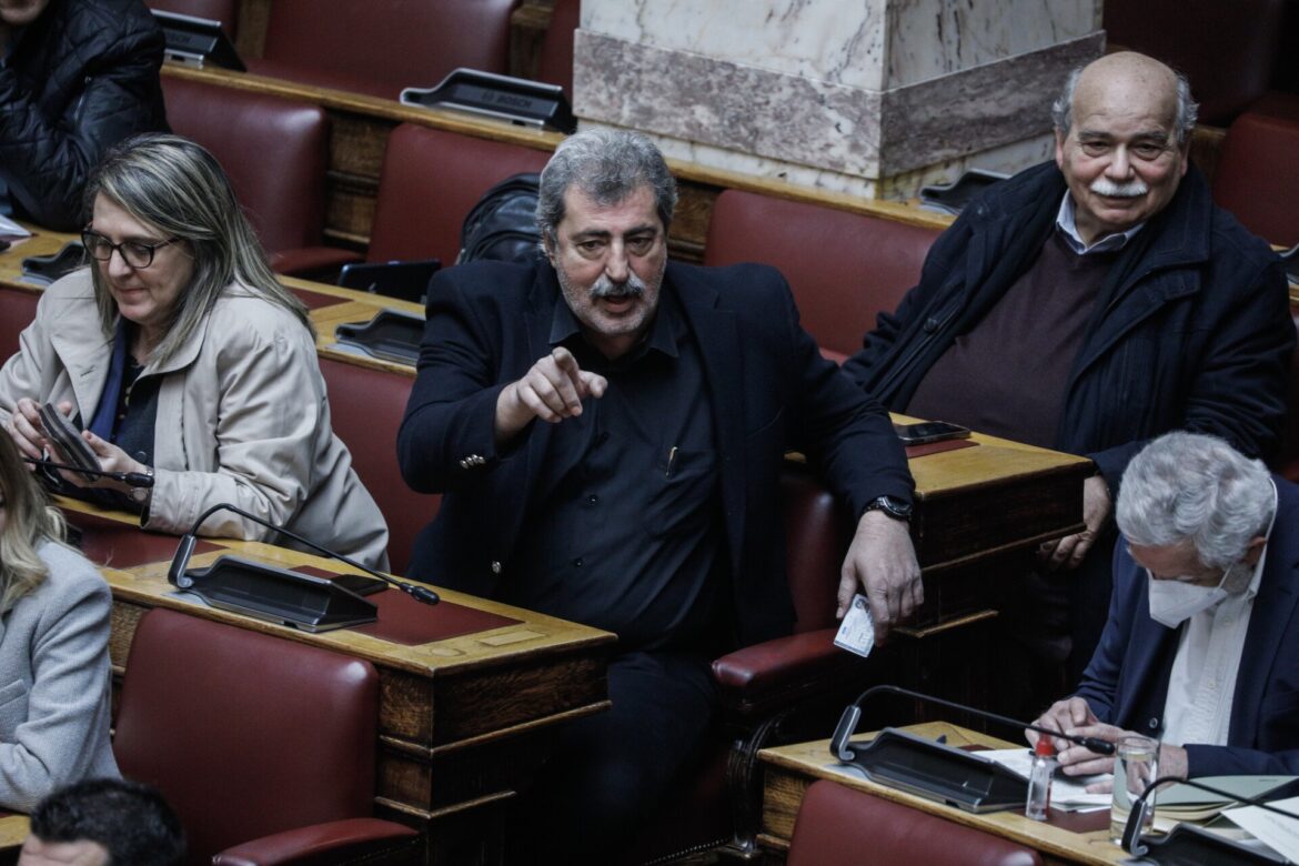 Νατάσα Πετρούλια: Ποια είναι η συνεργάτιδα του Γεωργιάδη στην οποία επιτέθηκε ο Πολάκης